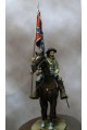 Srgento de caballería confederado, con bandera - %f
